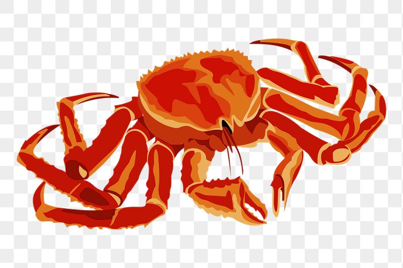 Alaskan crab png sticker, sea | Free PNG - rawpixel