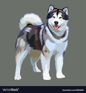 alaskan malamute siberian husky