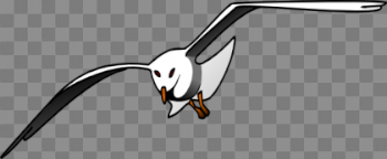 Albatross PNG Pic