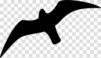 Albatross PNG Picture