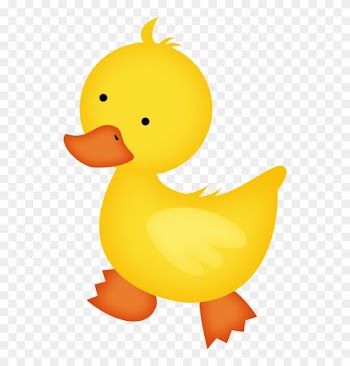 Album - Baby Duck Clipart