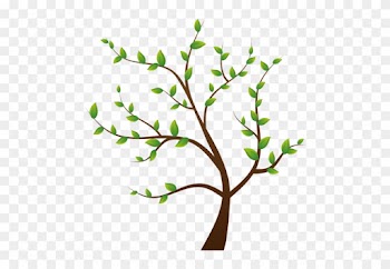 Album - Clipart Four Seasons Trees
