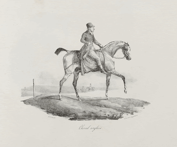 Album containing 39 lithographs by and | Free Photo - rawpixel