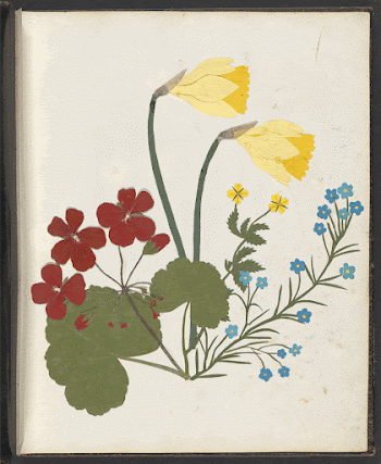 Album of cut&ndash;paper flowers (ca.1835) | Free Photo - rawpixel
