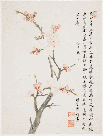 Album of Ten Leaves (1656) | Free Photo - rawpixel