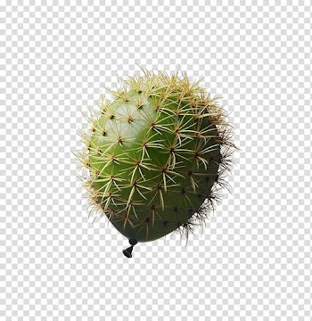 Albuquerque International Balloon Fiesta Cactaceae, Prickly pear balloon transparent background PNG clipart