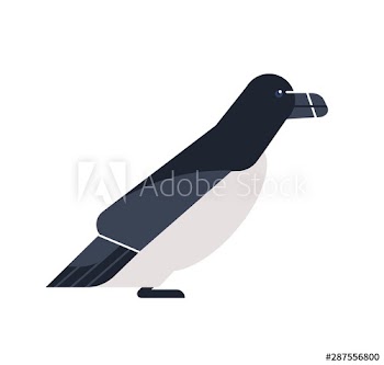 Alca torda bird flat vector illustration