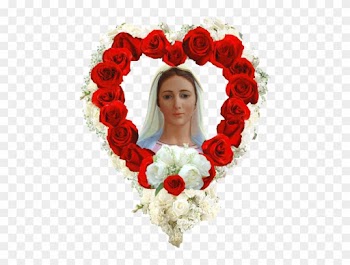 Alcune Notizie In Merito Alla Festa Della Mamma - Garden Roses