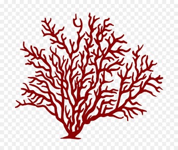 Alcyonacea Coral reef Sea Portable Network Graphics - sea 