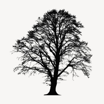 Alder tree  silhouette clipart, | Free Vector - rawpixel
