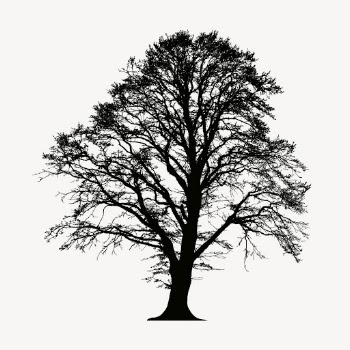 Alder tree  silhouette collage | Free PSD - rawpixel