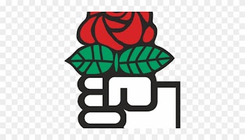 Alexander Lugg - Social Democracy Rose