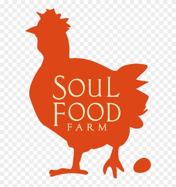 Alexis Koefoed, Grazing For Change Speaker, Holistic - Soul Food Farm