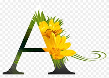 Alfabeto Decorativo Flores Png - Flowers Alphabet With Watercolor Background Tote Bag