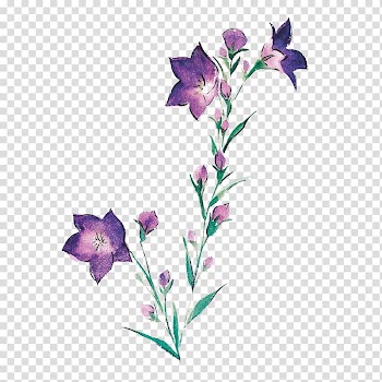 Alfalfa Paper Black Medic Watercolor painting Illustration, Antique jewelry jewelry cartoon sketch transparent background PNG clipart