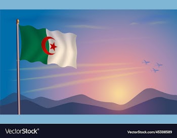 algeria flag in the morning sun