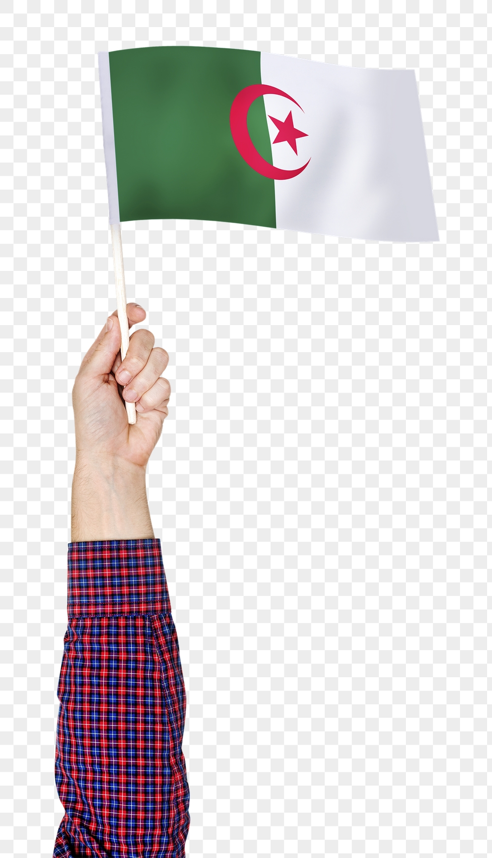 Algeria's flag png in hand | Free PNG - rawpixel