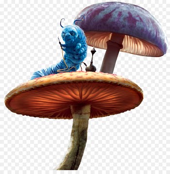 Alice's Adventures in Wonderland - Fairy tale mushroom 