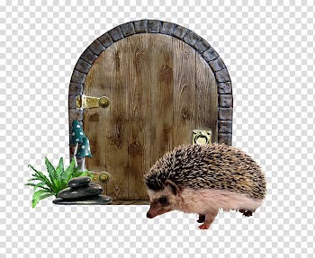 Alices Adventures in Wonderland Domesticated hedgehog Fairy tale, Doors transparent background PNG clipart