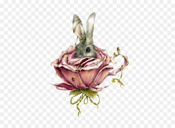 Alices Adventures in Wonderland Drawing Courtney Brims Artist Illustration - Teacup Bunny 