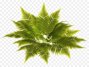 Alices Adventures in Wonderland Fairy tale - Fairy tale leaves 