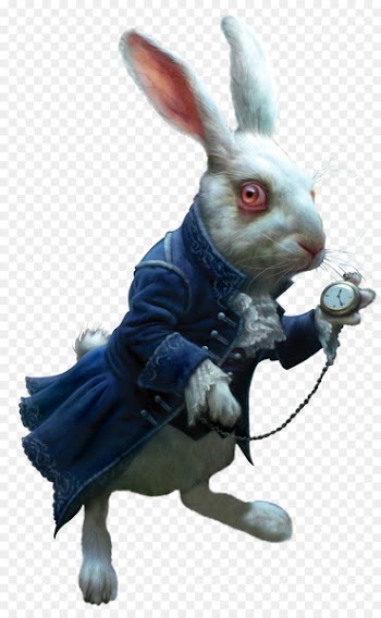 Alices Adventures in Wonderland The Mad Hatter Through the looking glass. Cheshire Cat - Western Magic Dark embellishment,rabbit 