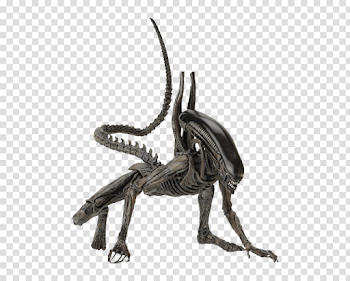 Alien Transparent Images