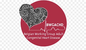 All About Heart Congenital heart defect Cardiovascular disease American Heart Association - heart 