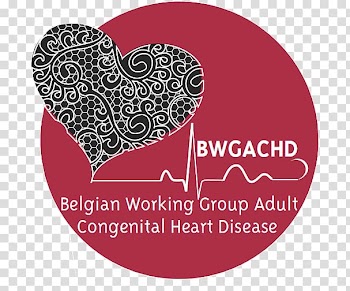 All About Heart Congenital heart defect Cardiovascular disease American Heart Association, heart transparent background PNG clipart