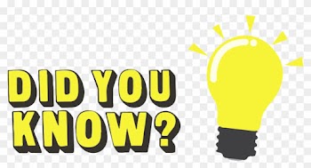 All Interesting And Special Facts About Magento Themes - Did You Know Png