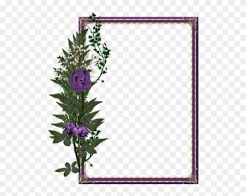 All New Beautiful Frames