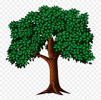 All Photo Png Clipart - Tree Leaves Clipart