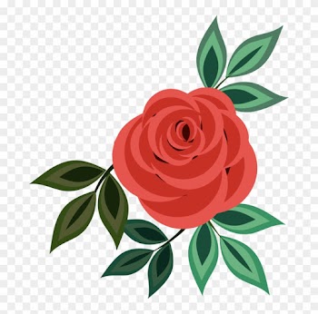 All Photo Png Clipart - White Roses Icon Transparent