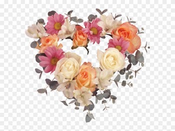 All These Pictures Are Attractive And Fabulous - Roses