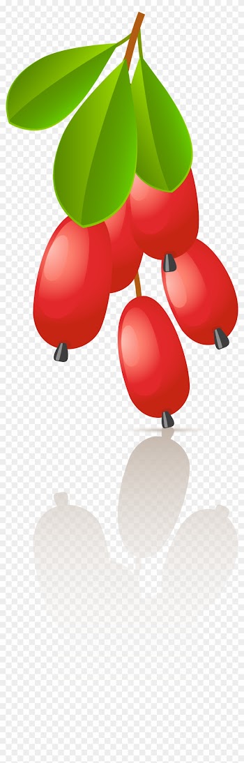 Alle Cliparts Als Zip-datei - Rose Hip