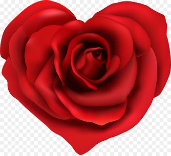 Allee-Center Hamm Beach rose Petal - flower heart 