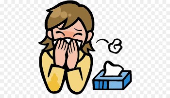 Allergic rhinitis due to pollen Nose Common cold Allergy Therapy - Cover your nose picture 