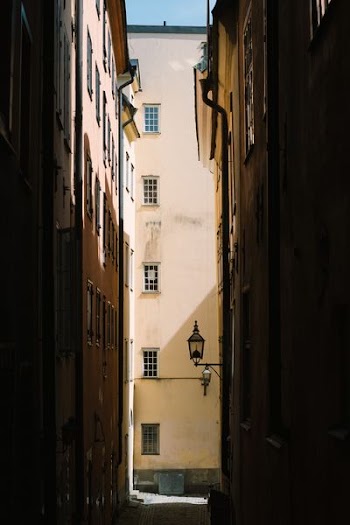 alley in between two brown concrete buildings