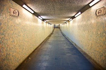 Alley Photography of Grey Walkway