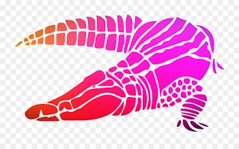 Alligators Crocodile Stencil Image Drawing -  