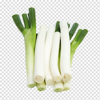 Allium fistulosum Garlic Shallot Scallion Vegetable, Green onions green onions transparent background PNG clipart