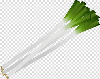 Allium fistulosum Vegetable Leaf Salad, food posters transparent background PNG clipart