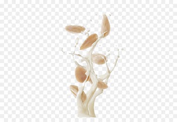 Almond milk Splash - Splashes of almond milk 