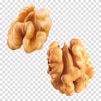 Almond milk Walnut, walnut transparent background PNG clipart