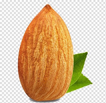 Almond Nut Dried fruit Food, Alligator shoes transparent background PNG clipart