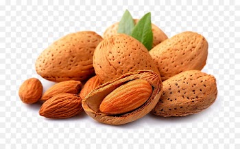 Almond Nut Dried fruit Oil - Almond nuts 