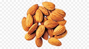 almond nut food apricot kernel nuts & seeds