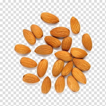 Almond Nut Fruit, almond transparent background PNG clipart