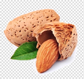 Almond nuts, Almond Nut Dried fruit Cashew, Almond transparent background PNG clipart