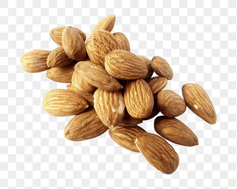 Almond png sticker, transparent background | Free PNG - rawpixel